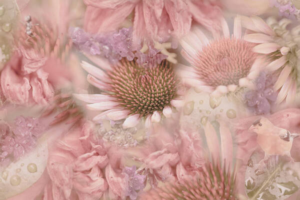 Nature Poster featuring the painting Pink Floral Montage by Bonnie Bruno