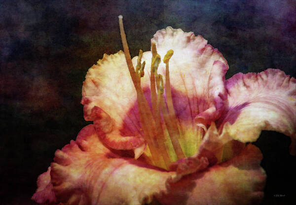 Impressionist Poster featuring the photograph Pink Heart 2636 IDP_2 by Steven Ward