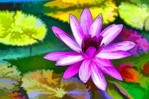 Pink Lotus Gallery Poster featuring the painting Pink Lotus Gallery by Jeelan Clark