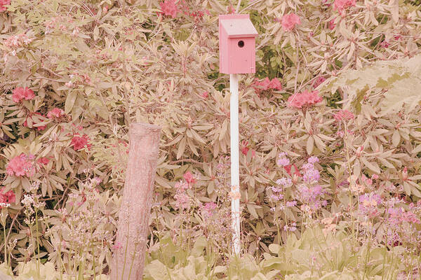 Nesting Box Poster featuring the photograph Pink Nesting Box by Bonnie Bruno