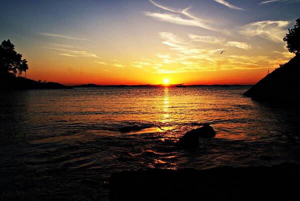 Plum Cove Poster featuring the photograph Plum Cove Beach Sunset G by Joe Faherty