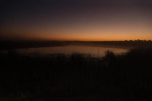 Dawn Poster featuring the photograph Pond and Cattails at Sunrise by Steven Schwartzman