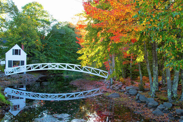 Reflection Poster featuring the photograph Pond Bridge Reflection by Nancy Dunivin