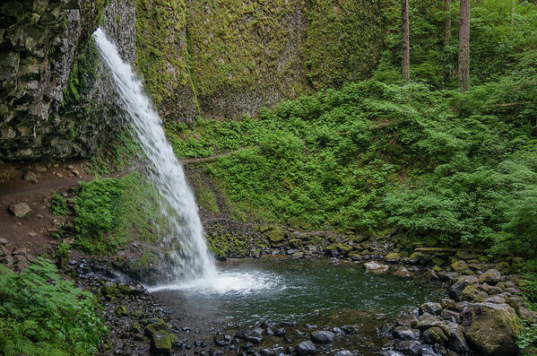 Ponytail Falls Poster featuring the photograph Ponytail Falls by Greg Nyquist