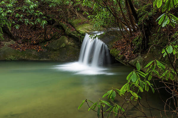 2017-01-15 Poster featuring the photograph Pounder Branch falls # 2 by Ulrich Burkhalter