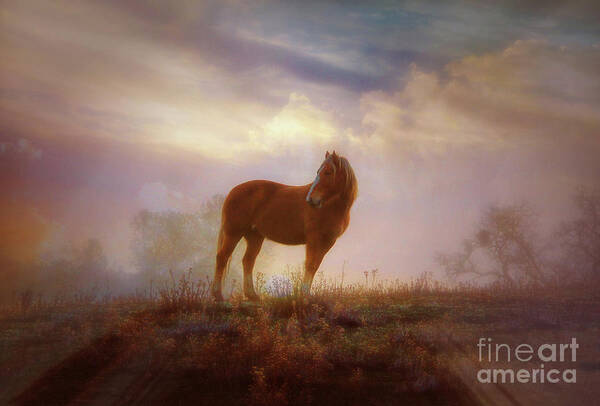 Horse Poster featuring the photograph Mustang Morning by Stephanie Laird