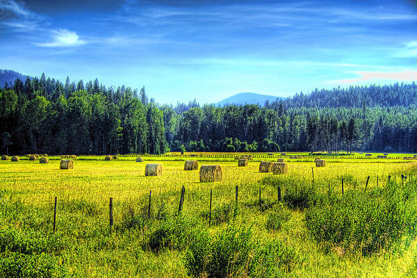 Hay Bales Poster featuring the photograph Priest Lake Hay by David Patterson