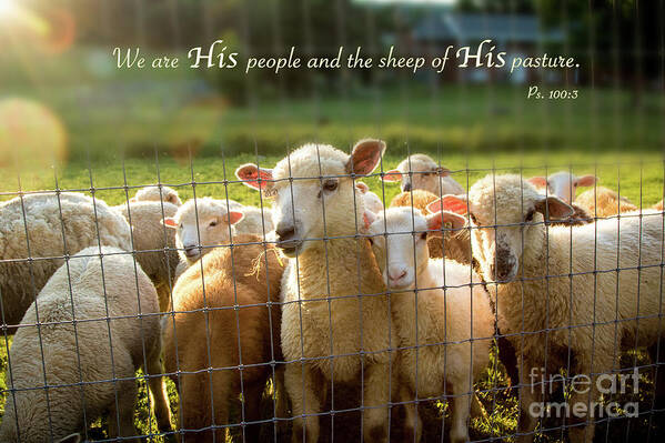 Scripture Poster featuring the photograph Psalm 100 by Eleanor Abramson