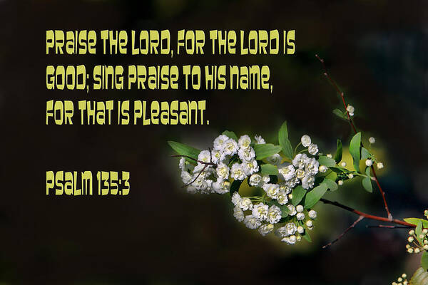 Scripture Poster featuring the photograph Psalms One Hundred Thirty Five vs Three by Linda Phelps