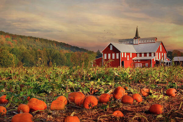 Barn Poster featuring the photograph Pumpkin Farm by Lori Deiter