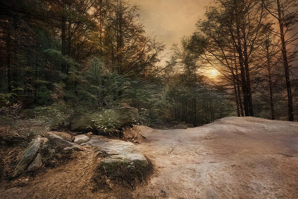  Woodland Poster featuring the photograph Purgatory Chasm by Robin-Lee Vieira