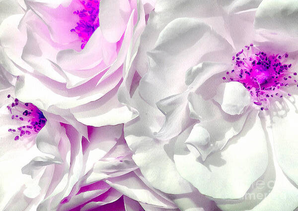 Flowers Poster featuring the photograph Purple Essence by Krissy Katsimbras
