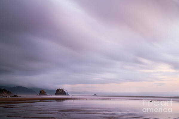 Haystack Rock Poster featuring the photograph Purple wisp in the morning by Paul Quinn