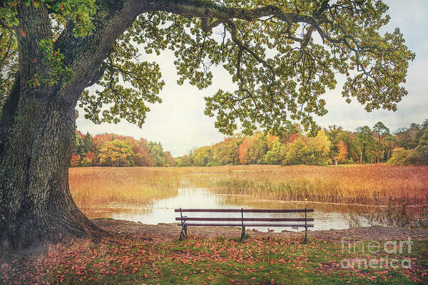 Kremsdorf Poster featuring the photograph Quiet Time by Evelina Kremsdorf