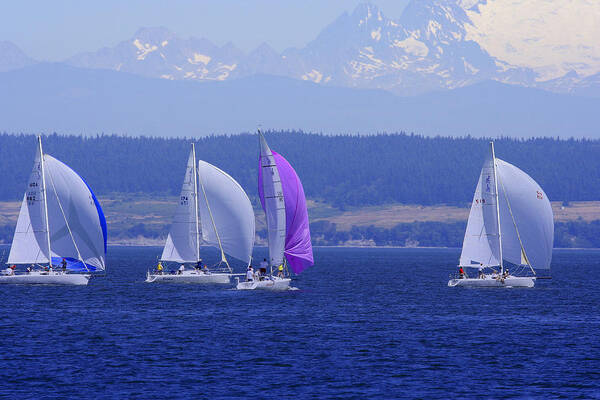 Sailboats Poster featuring the photograph Race Week 2006 BO1091 by Mary Gaines