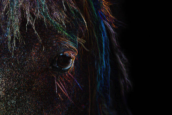 Photograph Poster featuring the photograph Rainbow Horse Eye by Larah McElroy