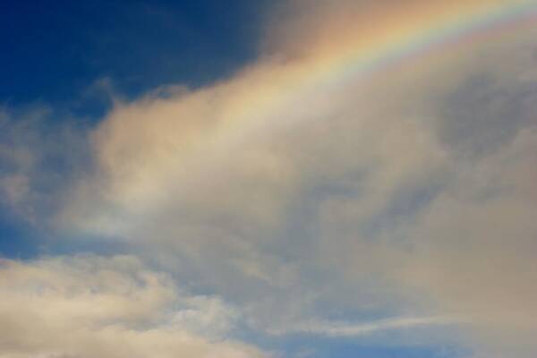  Poster featuring the photograph Rainbow by Ofelia Arreola