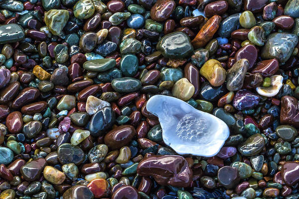 Rocks Poster featuring the photograph Rainbow Pebbles by Laura Roberts
