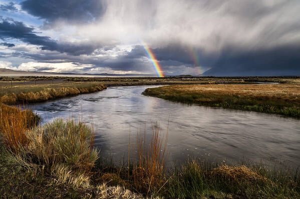 California Poster featuring the photograph Rainbows at the Upper Owens by Cat Connor