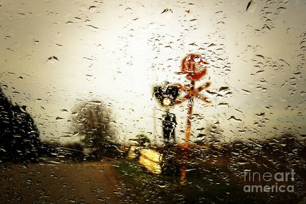 Art Poster featuring the photograph Rainy Day by Dimitar Hristov