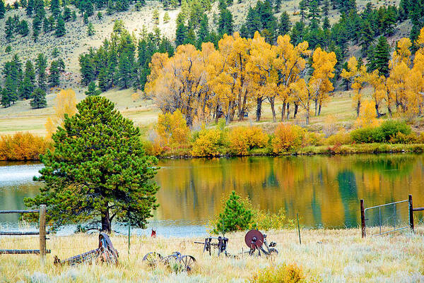 Pond Poster featuring the photograph Ranch Pond in Autumn by Robert Meyers-Lussier