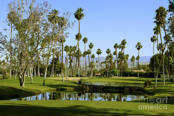 Rancho Mirage Golf Course Poster featuring the photograph Rancho Mirage Golf Course by Nina Prommer