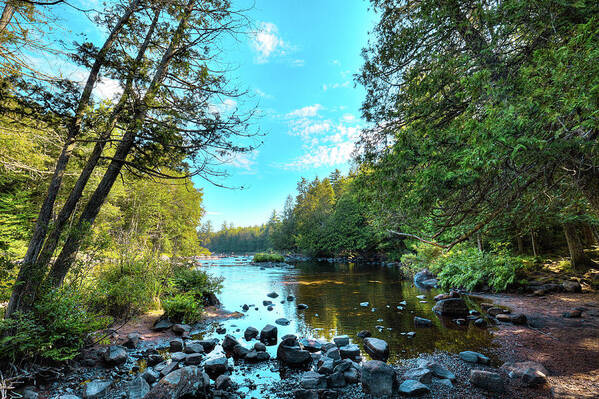 Landscapes Poster featuring the photograph Raquette River by David Patterson