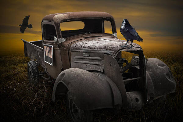 Vintage Poster featuring the photograph Raven Hood Ornament on Old Vintage Chevy Pickup Truck by Randall Nyhof