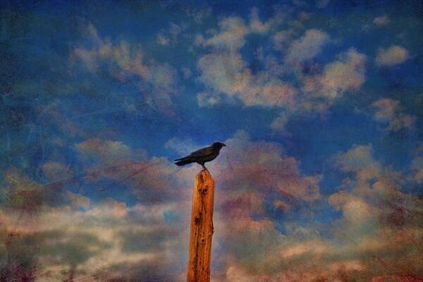 Birds Poster featuring the photograph Raven Pole by Jan Amiss Photography
