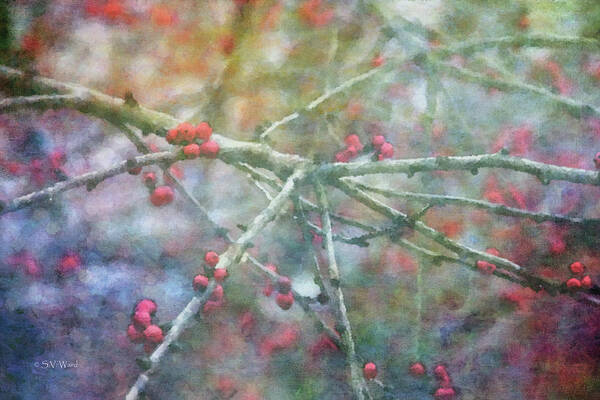 Impression Poster featuring the photograph Red Berries 7952 IDP_2 by Steven Ward