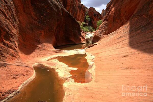 Red Cliffs Poster featuring the photograph Red Cliffs Pools by Adam Jewell