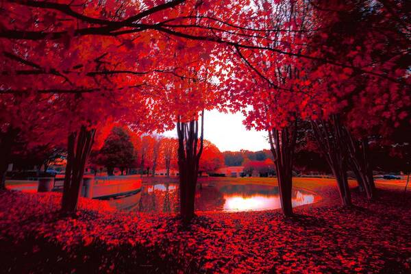 Fall Reds Poster featuring the photograph Red crayon by Dennis Baswell