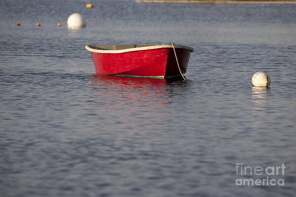 Red Poster featuring the photograph Red Dingy - Rye Harbor New Hampshire USA by Erin Paul Donovan