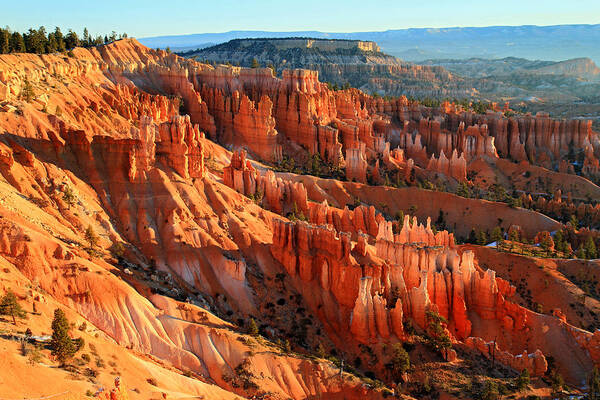 Bryce Poster featuring the photograph Red glow on the Hoodoos of Bryce Canyon by Pierre Leclerc Photography