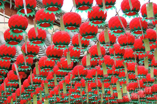 Lotus Poster featuring the photograph Red lotus lanterns in Seoul by Delphimages Photo Creations