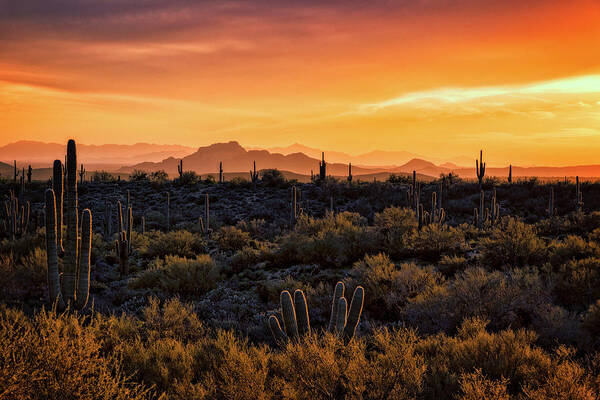 Saguaro Sunset Poster featuring the photograph Red Mountain Sunset Part Two by Saija Lehtonen