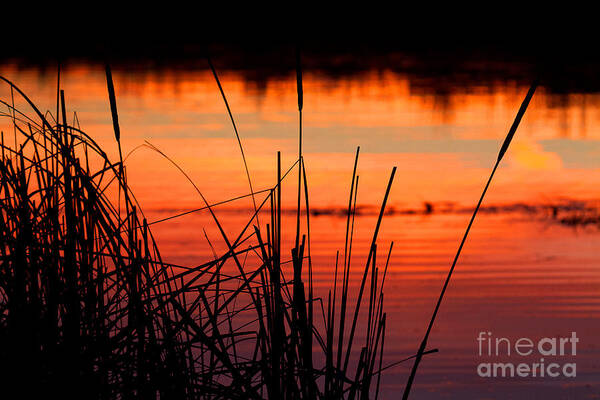 Sunsets Poster featuring the photograph Red Skies by Jim Garrison