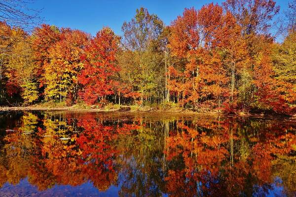 Autumn Poster featuring the photograph Reflections in Autumn by Ed Sweeney