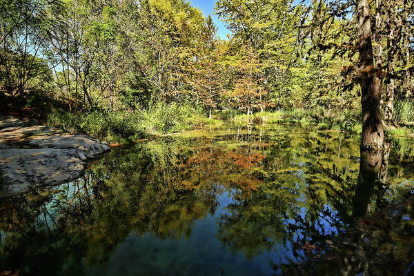 Krause Springs Poster featuring the photograph Reflections of Fall by Judy Vincent