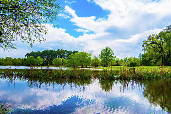 Alabama Poster featuring the photograph Reflections on a Spring Pond by James-Allen