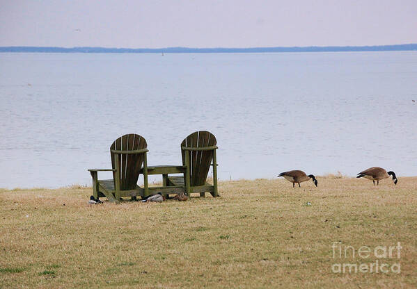 Chairs Poster featuring the photograph Relax by Debbi Granruth