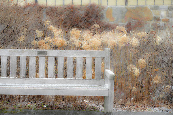 Bench Poster featuring the photograph Rememberance by Jeff Cooper