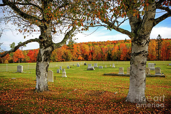 Resting Place Poster featuring the photograph Resting Place by Alana Ranney