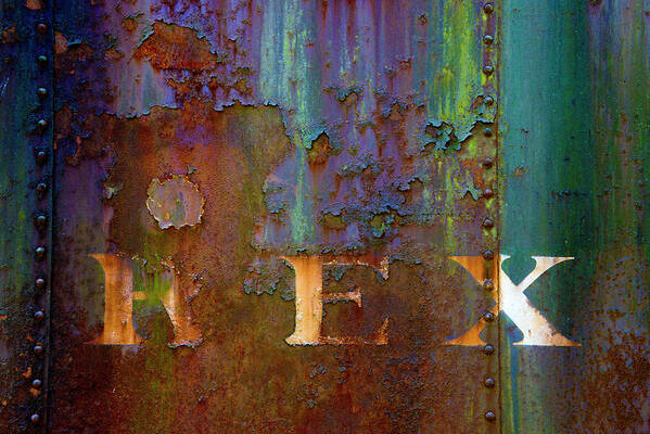 Rex Poster featuring the photograph REX by Paul W Faust - Impressions of Light