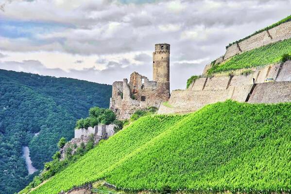 Medieval Castle Poster featuring the photograph Rhine River Medieval Castle by Kirsten Giving