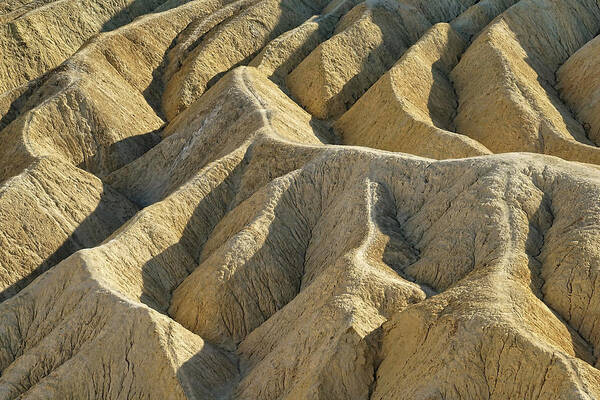 Death Valley National Park Poster featuring the photograph Ridges of Light by Leda Robertson