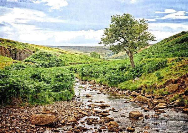 Lone Tree Poster featuring the photograph River and Stream in Weardale by Martyn Arnold