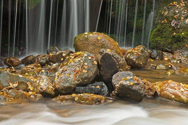 Water Poster featuring the photograph River Rocks by Scott Read