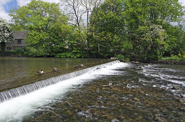 Bright Poster featuring the photograph River Wye Weir - Bakewell by Rod Johnson