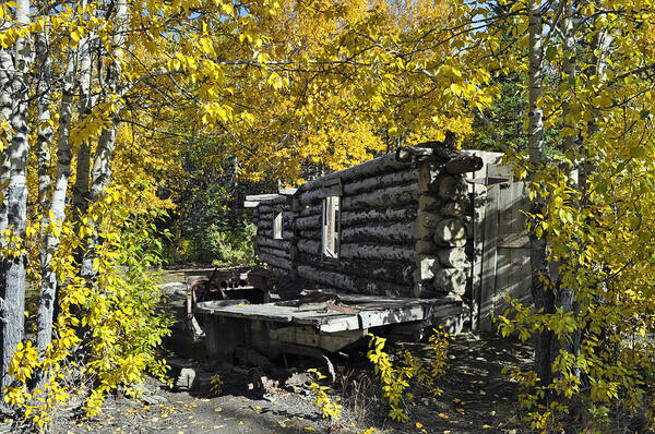 Log Building Poster featuring the photograph Road Trip to Autumns Past by Cathy Mahnke